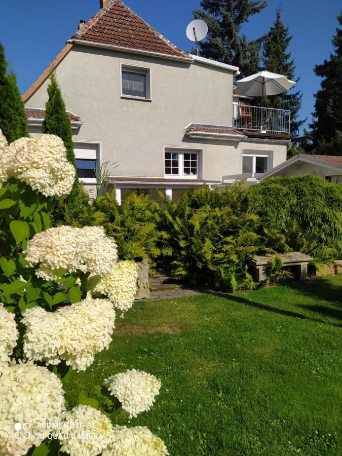 Domizil der Sinne Bad Liebenwerda Exterior foto